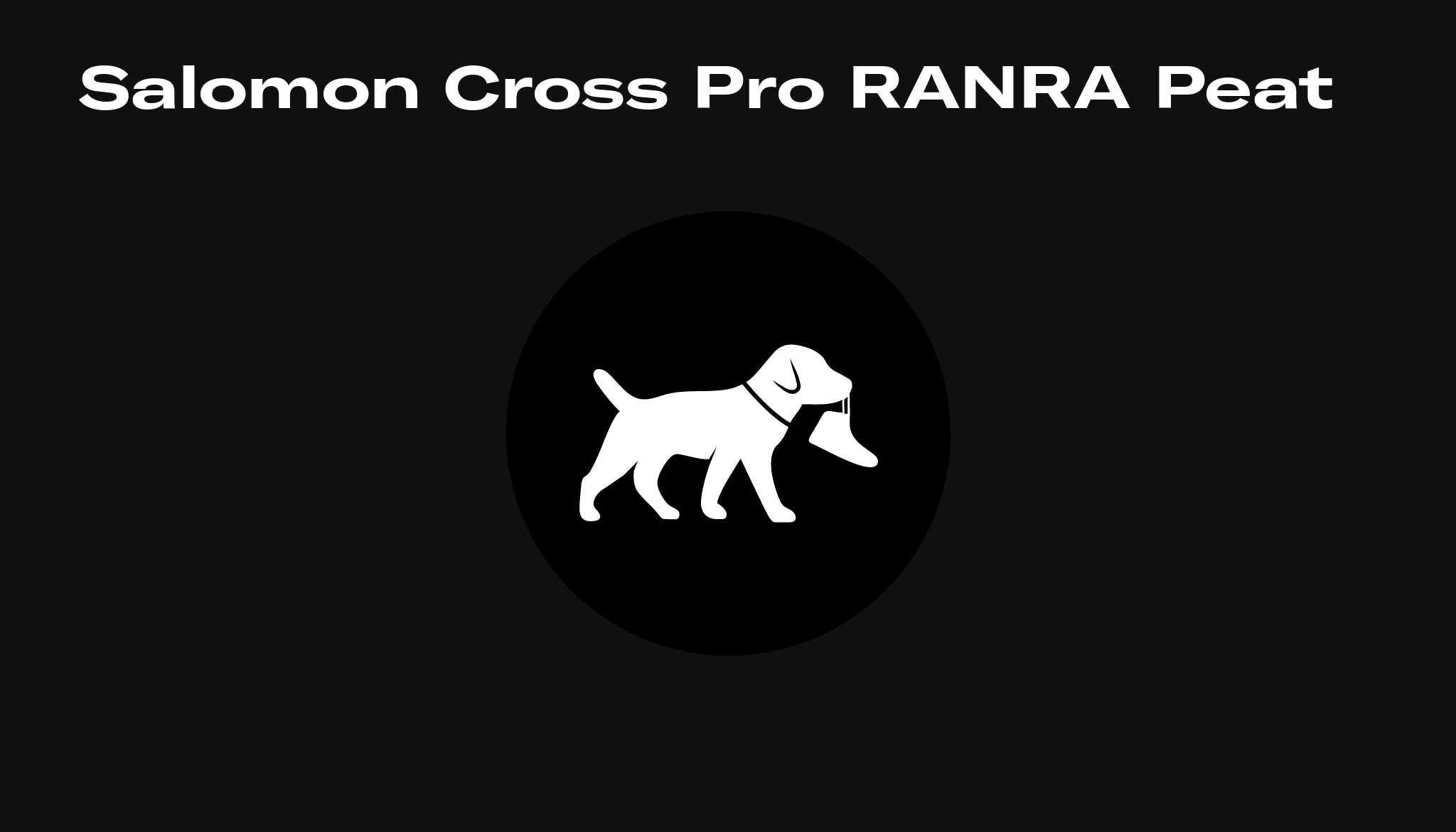 vans authentic true white shoes